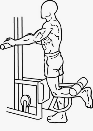 Illustration of the Standing Leg Curl exercise