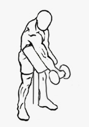 Demonstration of the Wrist Curl exercise